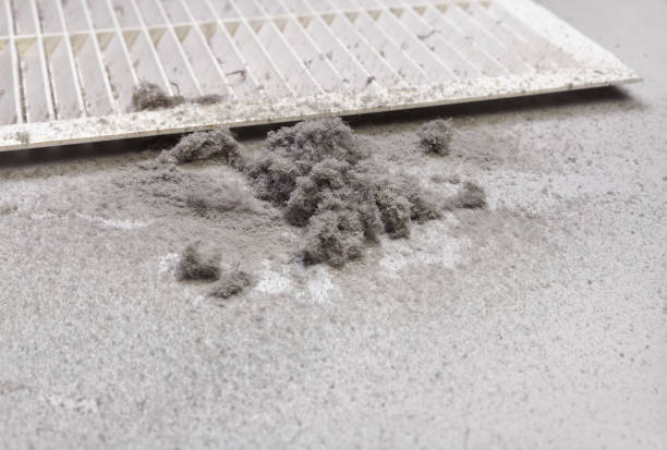 Best Dryer Vent Cleaning Services  in Way, NE